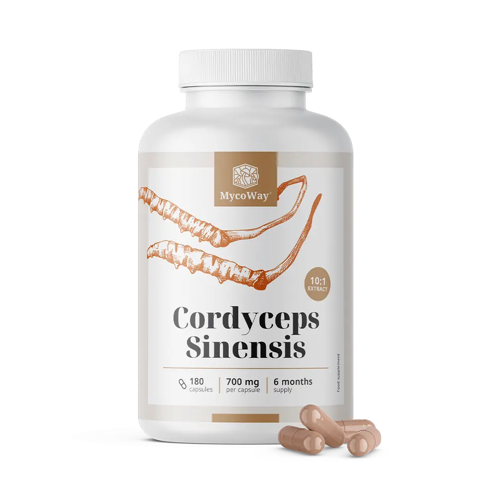 Cordyceps sinensis 1400 mg - výtažek 10:1
