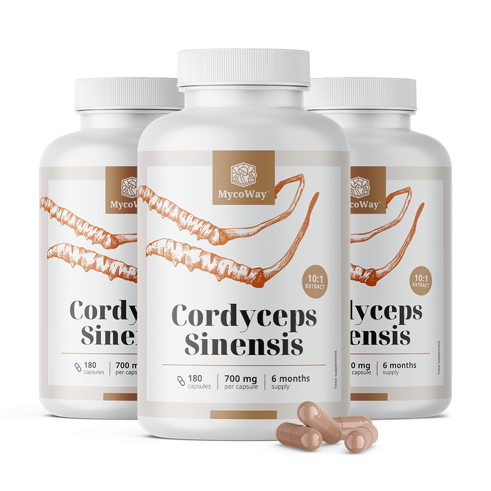 Cordyceps sinensis 1400 mg - extrakt 10:1