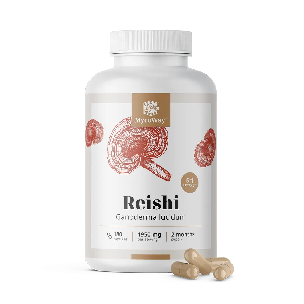 Reishi 1950 mg - extrakt 5:1