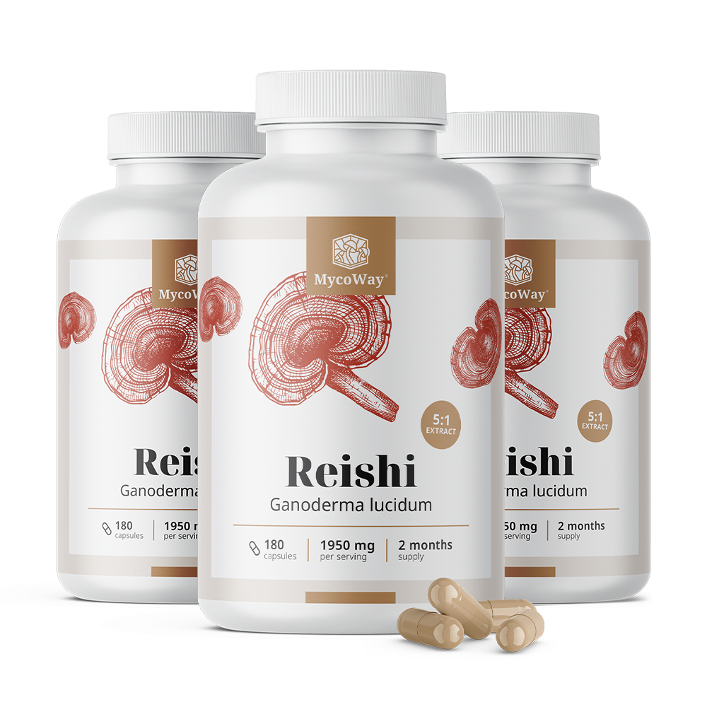 Reishi 1950 mg - extrakt 5:1