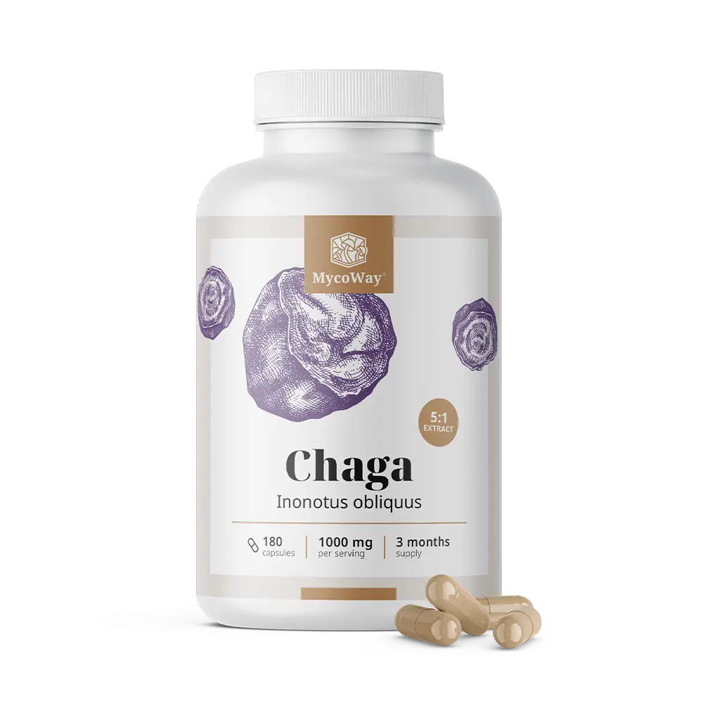Chaga 1000 mg - výtažek 5:1