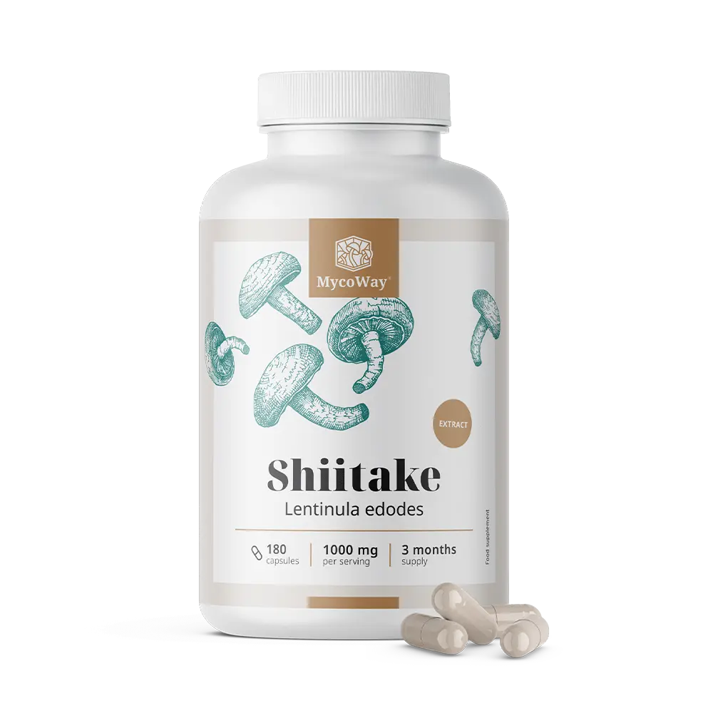 Shiitake 1000 mg - extrakt