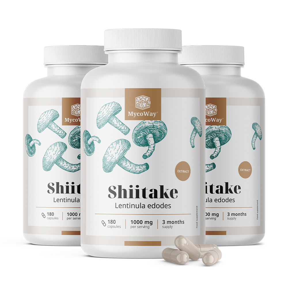 Shiitake 1000 mg - extrakt