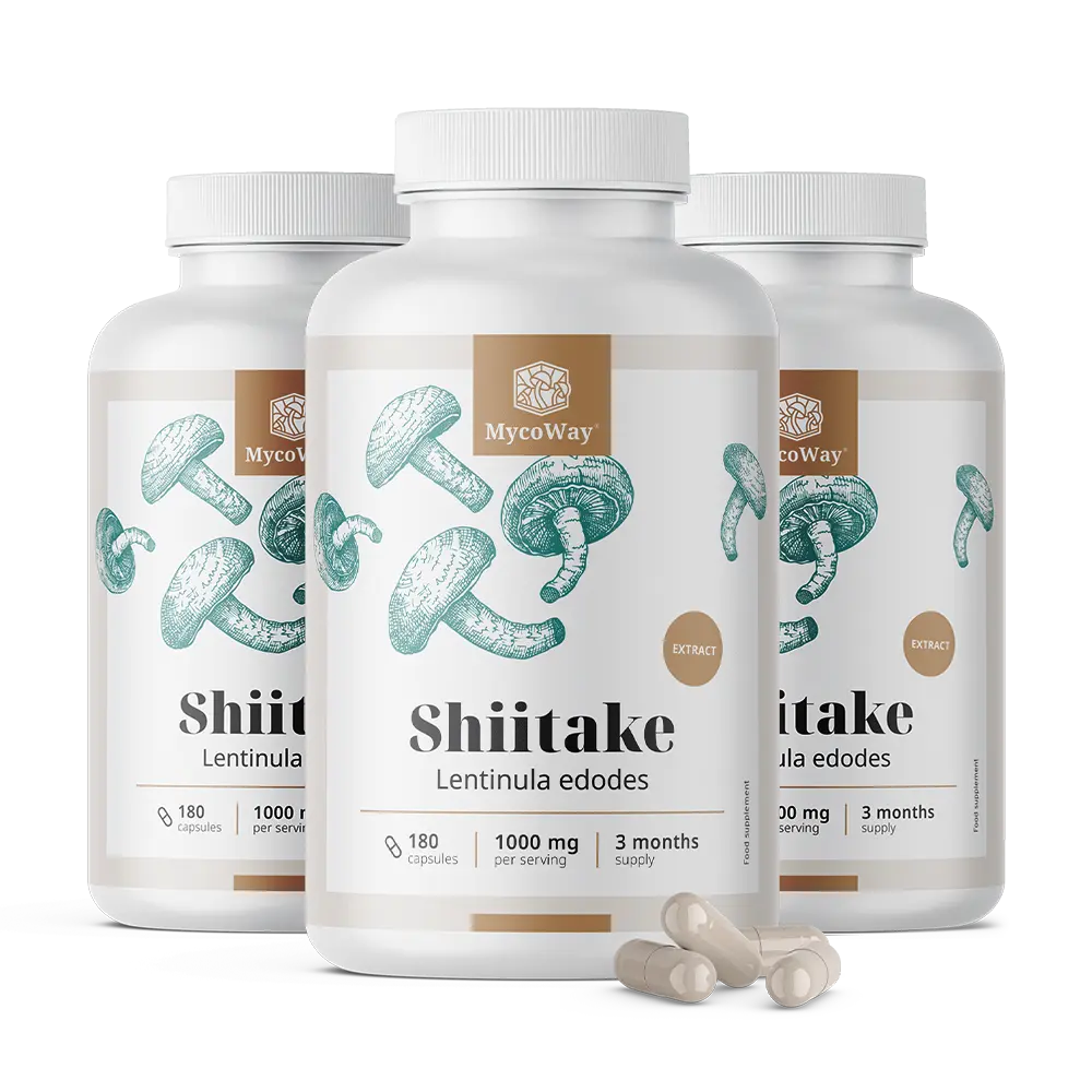 Shiitake 1000 mg - extrakt