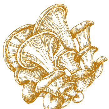 Jedinečná přírodní podpora pro posílení těla a mysli