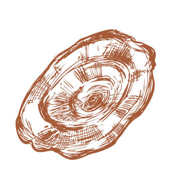 Udělejte krok k vitalitě a síle