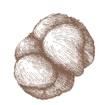 Zvyšte svou mentální bystrost