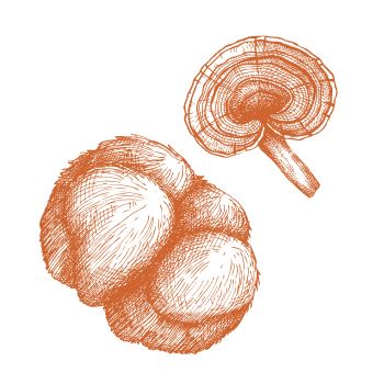 Síla a energie z přírody