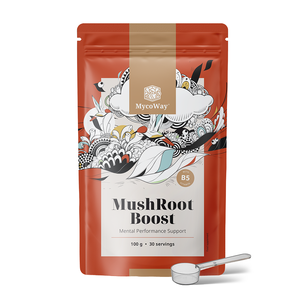 MushRoot Boost - nápoj pro mentální výkonnost.