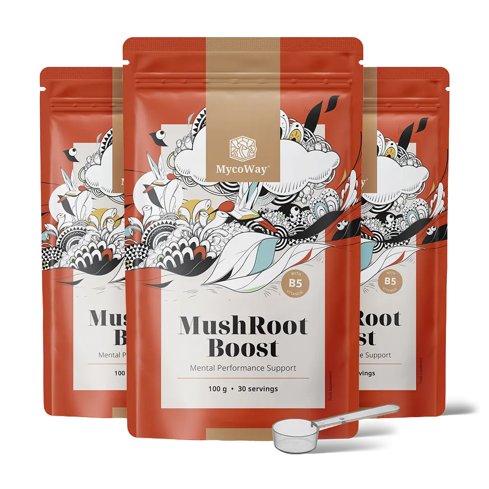 MushRoot Boost - nápoj pro mentální výkonnost