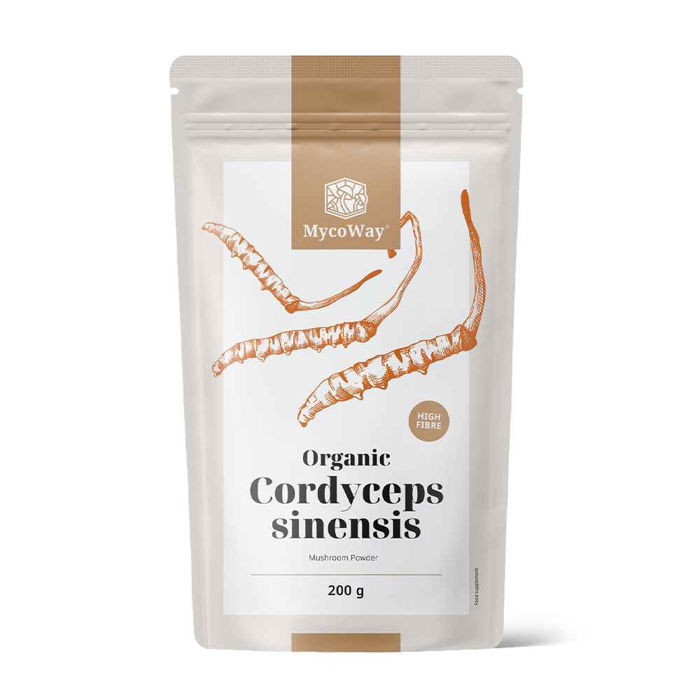 BIO Cordyceps sinensis ve formě prášku.