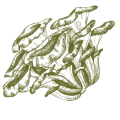 Pečujte o své tělo s dary, které nabízí příroda.