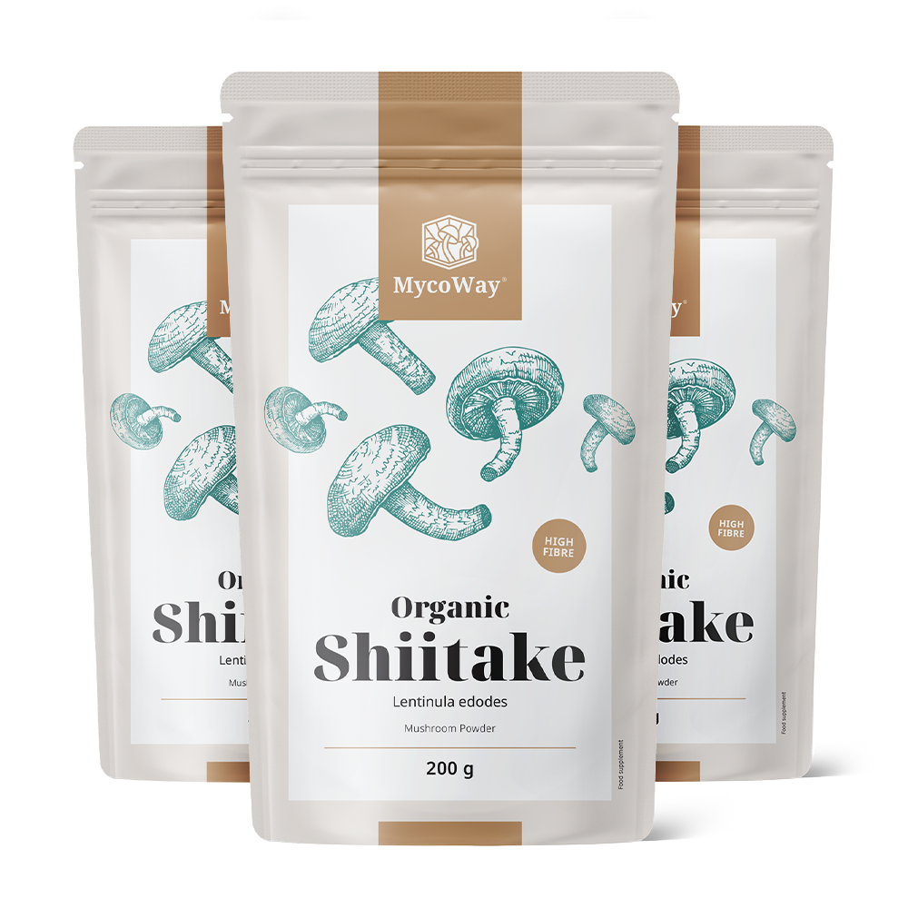 BIO Shiitake v prášku