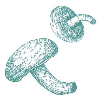 Tisíciletá tradice pro podporu těla