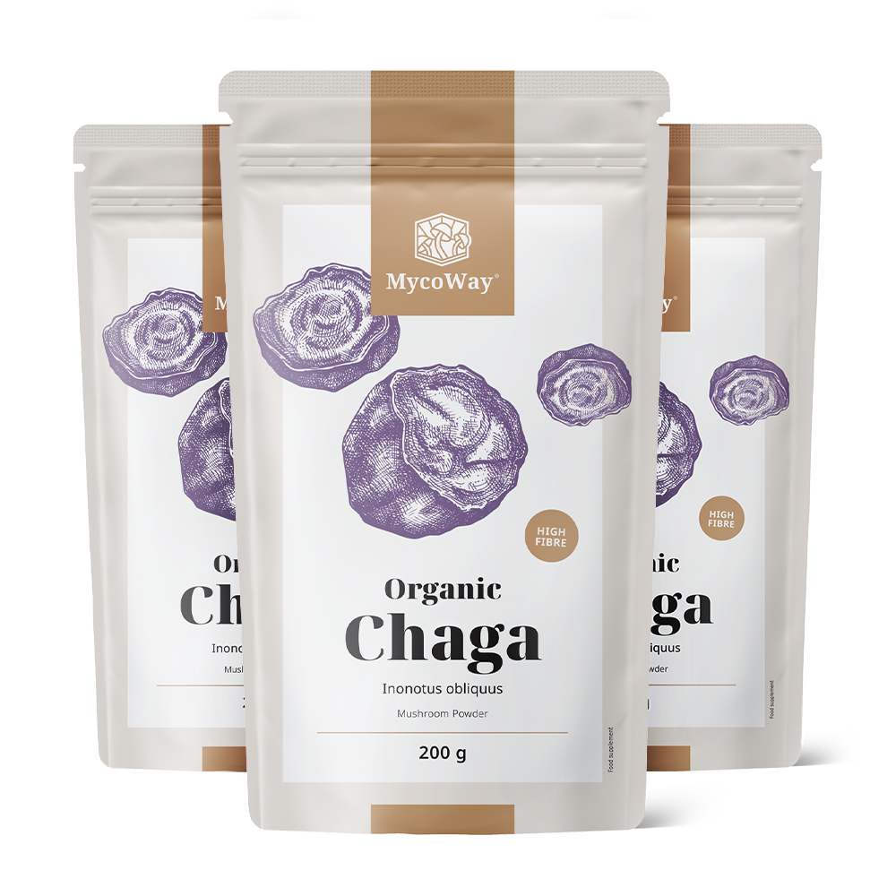 BIO Chaga v prášku