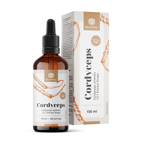 Cordyceps – výtažek v kapkách, 100 ml